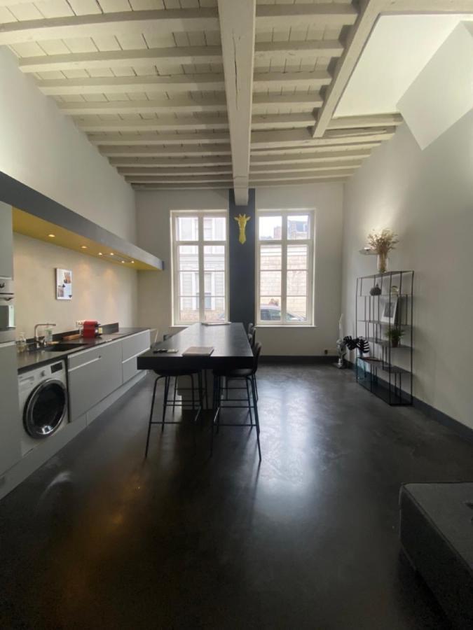 Au Beau Lieu De Metz Daire Lille Dış mekan fotoğraf