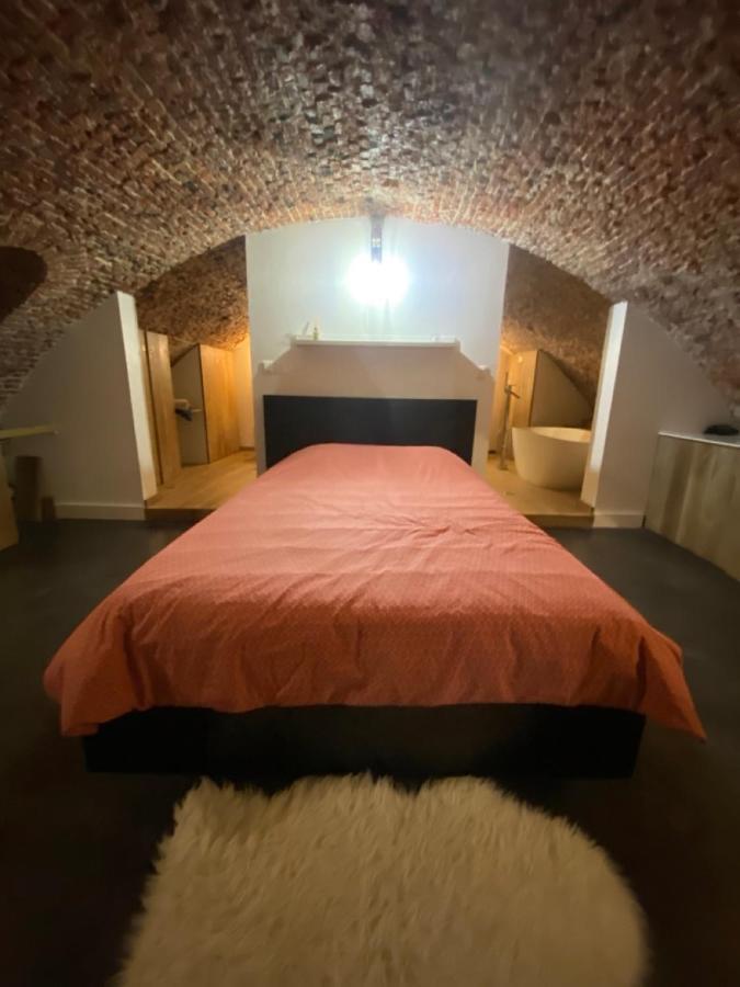 Au Beau Lieu De Metz Daire Lille Dış mekan fotoğraf